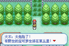 口袋妖怪火红安卓手机版