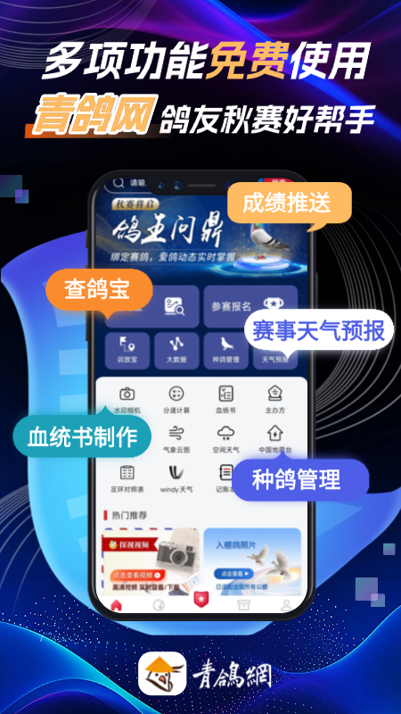 青鸽网app官方版