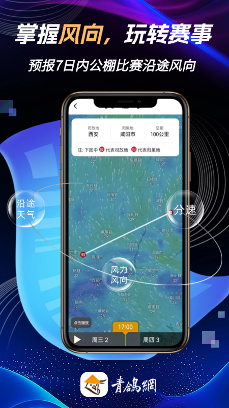 青鸽网app官方版