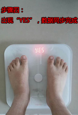 变啦体脂秤app官方正版