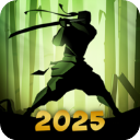 暗影格斗2破解版2026