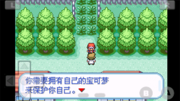 口袋妖怪火红安卓手机版