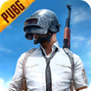 pubg手游体验服