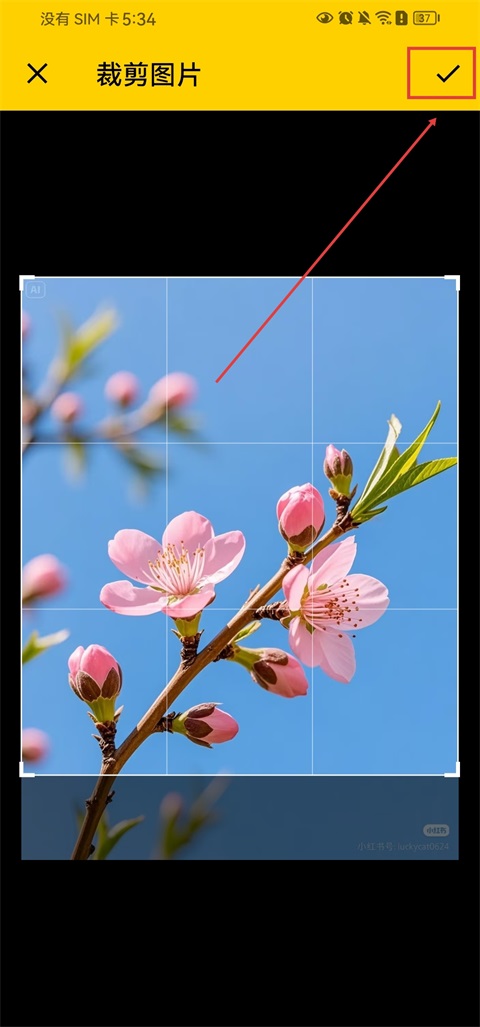 拼豆社区app