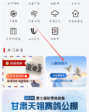 青鸽网app官方版