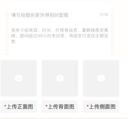 玩物得志官方版