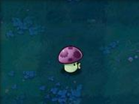 植物大战僵尸经典版