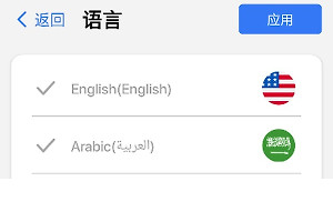 灵动岛Pro怎么设置中文 灵动岛Pro界面语言切换方法